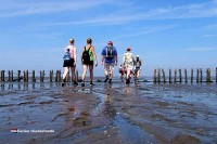 Hotel Waddenweelde ist der offizielle Startpunkt von Wattwandern Pieterburen Holland